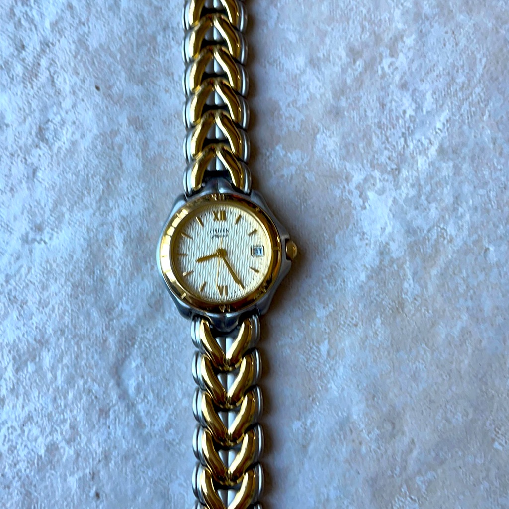 Citizen Lady Watch #Eu0534-55p